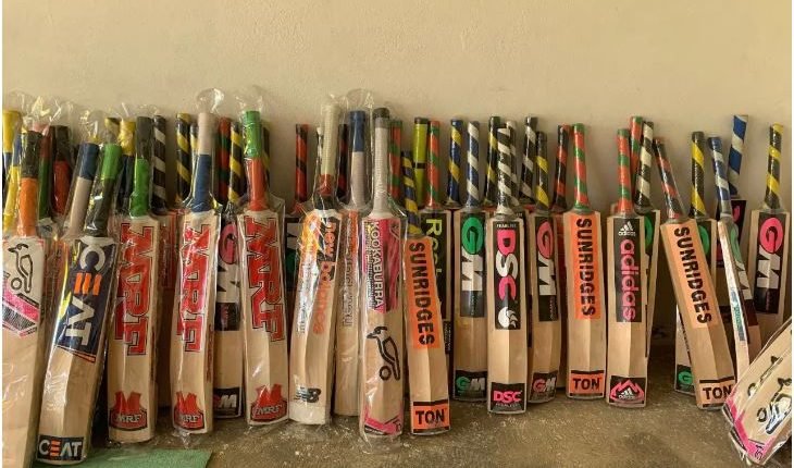 J&K Govt keen to make Kashmir willow bat a world class product