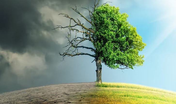 CLIMATE CHANGE AND THE ENVIRONMENT