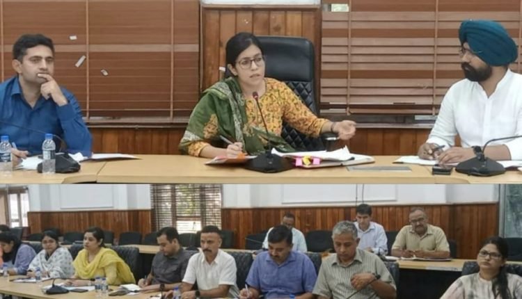 DC Jammu Avny Lavasa reviews implementation of revenue related services, schemes