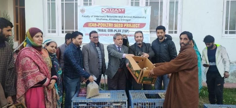 Backyard Poultry Training/ Chick Distribution programme held at KVK Budgam