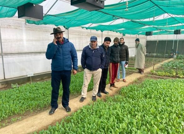 Director Agriculture Kashmir inspects Kitchen Garden Lalmandi, Srinagar