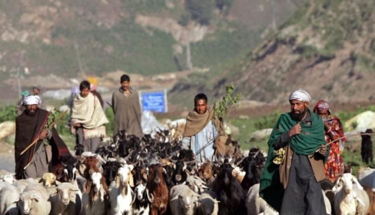 Empowering Tribal Communities in J&K