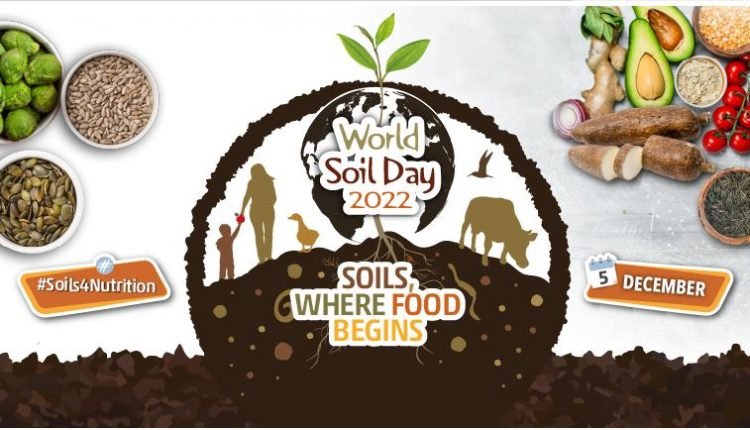 World Soil Day 2022 : Why IS Soil Conservation Important