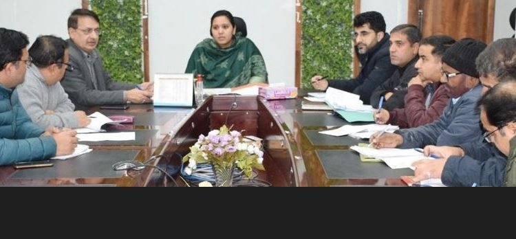 DC reviews implementation of self employment schemes in Udhampur