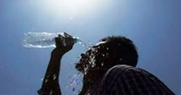 India experiences warmest February in over 140 years: IMD