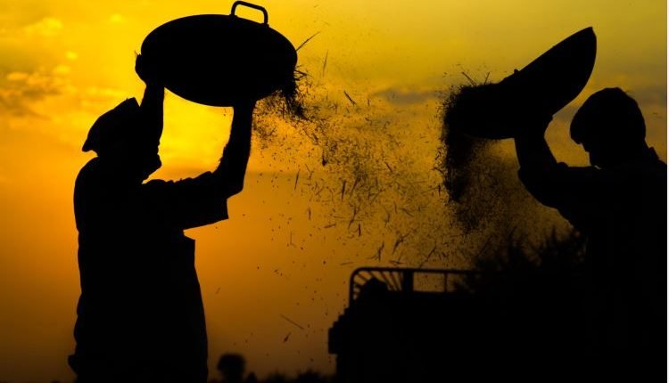 STRATEGY TO DEAL WITH HEAT CRISIS