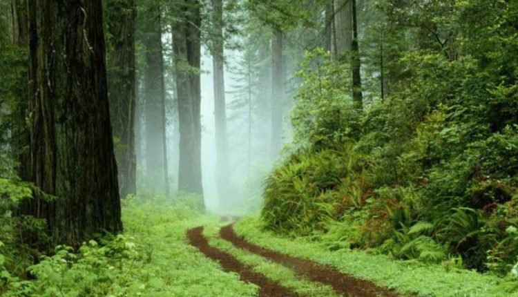 GREEN GROWTH: A PATHWAY TO A SUSTAINABLE FUTURE