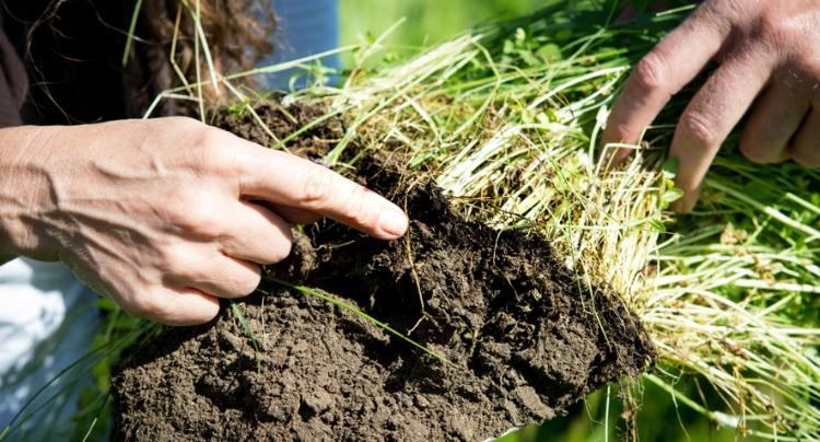 Govt. takes action for better land, soil management with launch of pioneering project