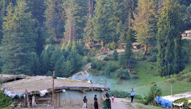 PRESERVING J&K'S FORESTS FOR FUTURE GENERATIONS