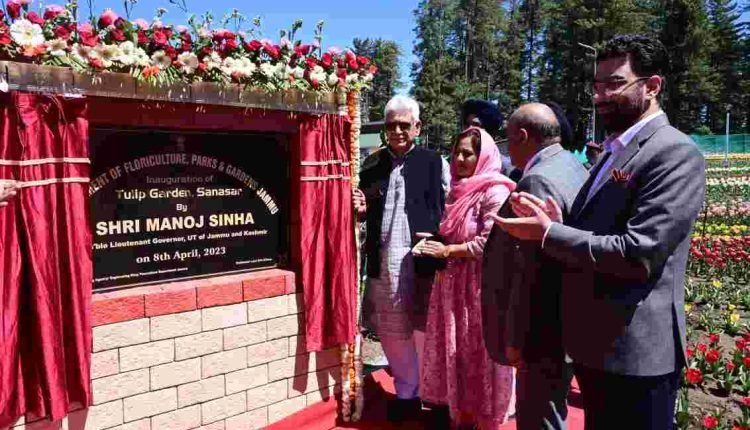 Lt Governor inaugurates Tulip Garden at Sanasar, the first such park for Jammu Division