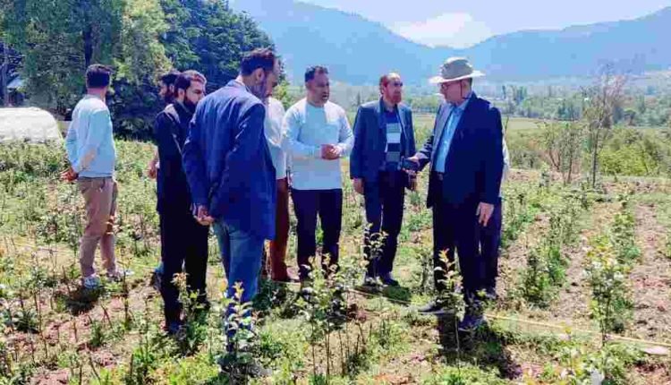 Director Horticulture Kashmir visits FPN Panzimulla; reviews progress on PeQ facility