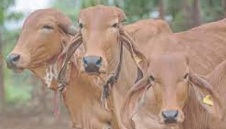 Union Government announces Implementation of Bharat Pashudhan-National Digital Livestock Mission in J&K