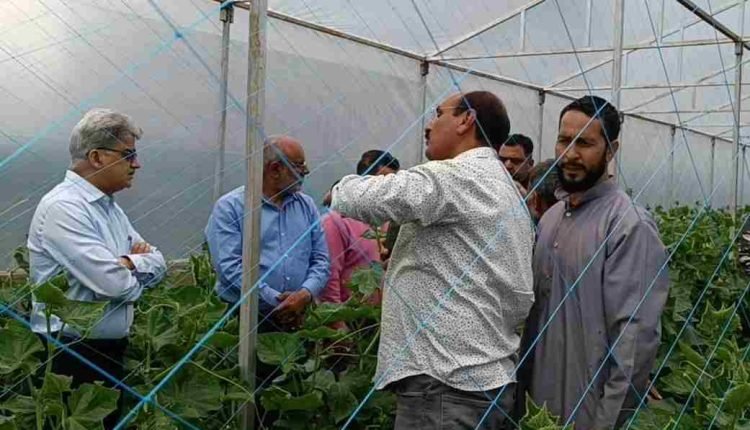 Atal Dulloo visits vegetable growing areas of Srinagar district