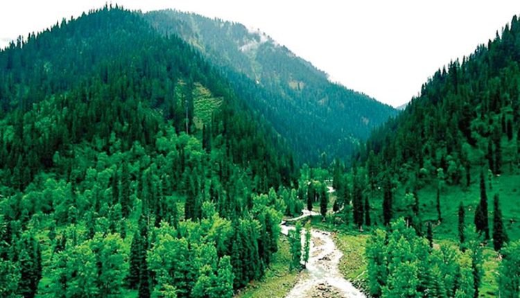 J&K Biodiversity Council observes ‘International Biodiversity Day’