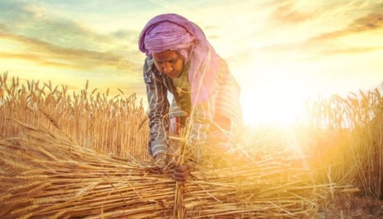Kisan Sampark Abhiyan: 1.5 lakh farmers participate across J&K; 1367 panchayats covered in five weeks