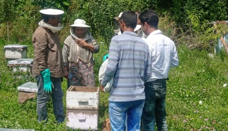 Director Agriculture visits Apiarists at Ajas Bandipora
