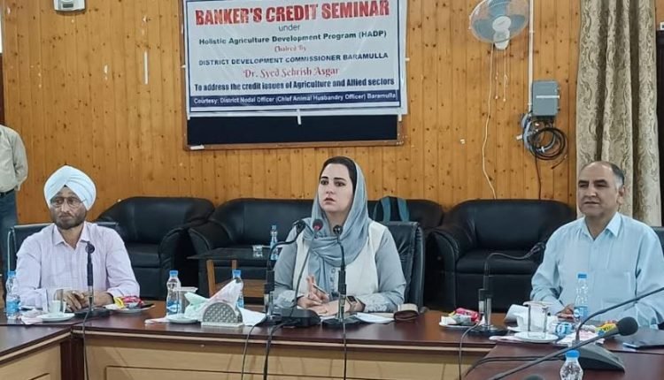 DDC B’la presides over Bankers Seminar for Credit in Agriculture & Allied Sectors