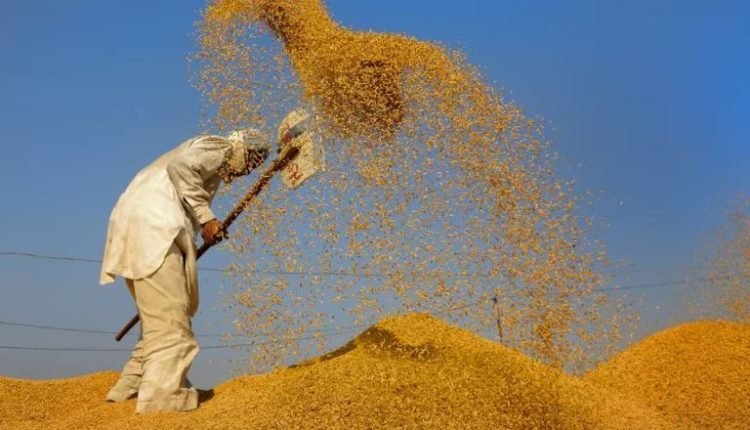 Government Approves Record Increase in Paddy MSP for 2023-24 Crop Year