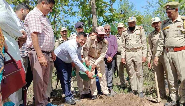Mega Plantation and Cleanliness drive launched at Purmanda by District Administration