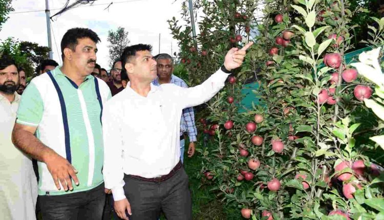 DC Rajouri inspects Ultra High Density Apple Orchard in Behrote; interacts with farmers, staff