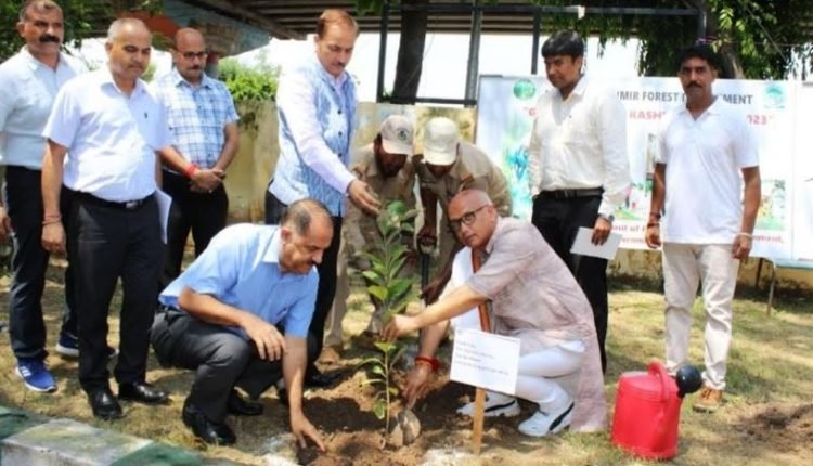 Mayor Jammu, PCCF launch Greening Jammu Campaign   