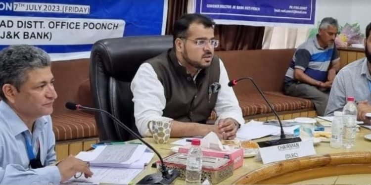 DC Poonch reviews performance of Banks under Annual Credit Plan