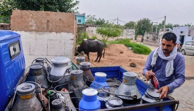 Lt Governor commends B’pora entrepreneur for transforming livelihoods through Dairy Farming