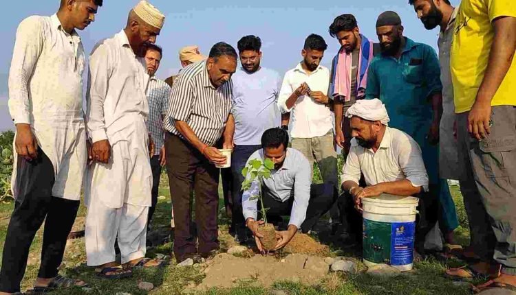 G&M Department organises plantation drive under “Meri Mitti Mera Desh” campaign