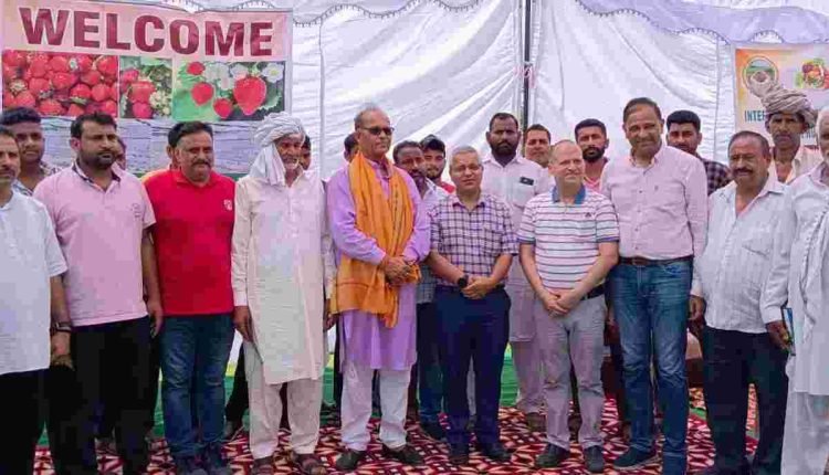 Director Horticulture launches Plantation Drive  at Bhalwal