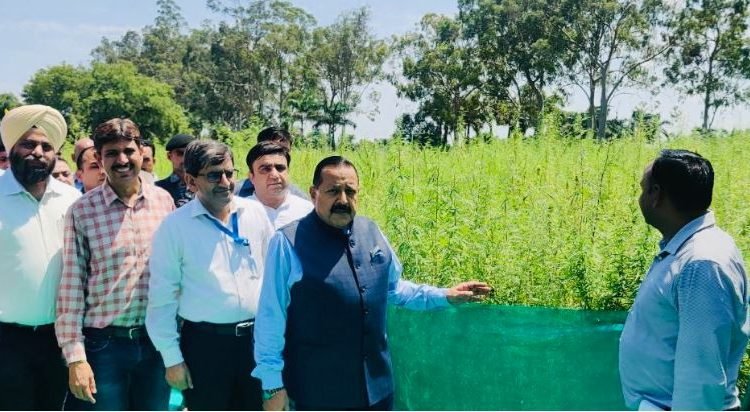 Jammu to pioneer India's first Cannabis Medicine Project