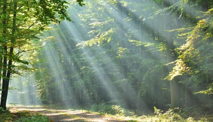 UNVEILING J&K'S PATH TO PROSPERITY