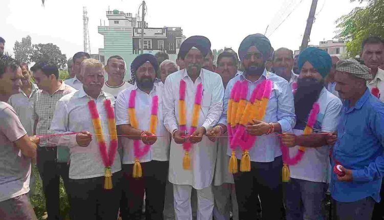 Rahul Gandhi is the only hope for poor, unemployed youth & farmers: Tony
