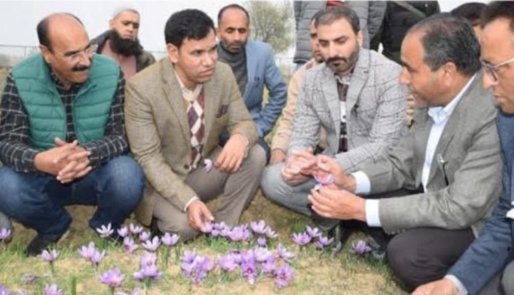 Saffron harvesting season: Div Com Kashmir visits IIKSTC, reviews it’s functioning