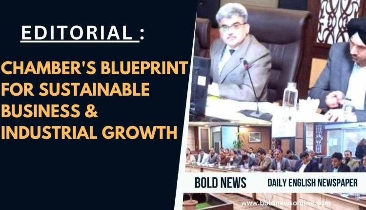 Chamber's Blueprint for Sustainable Business & Industrial Growth