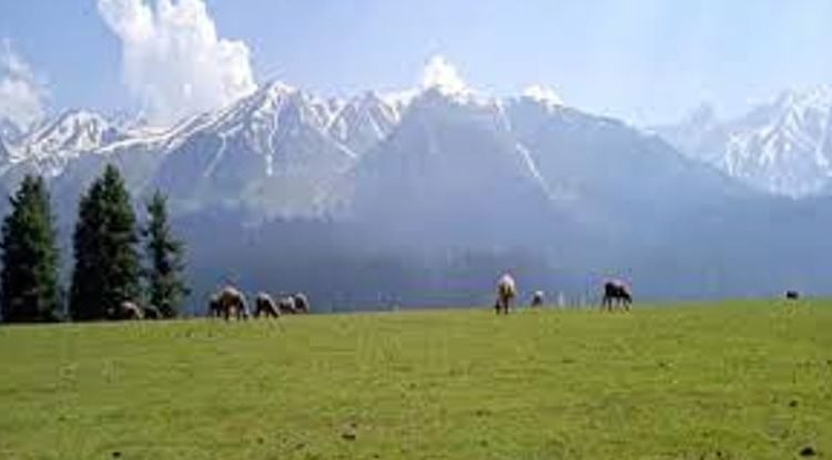 The newly approved Hallan Mazgam road linking remote communities of the Hallan Chiranbal area will be a game changer