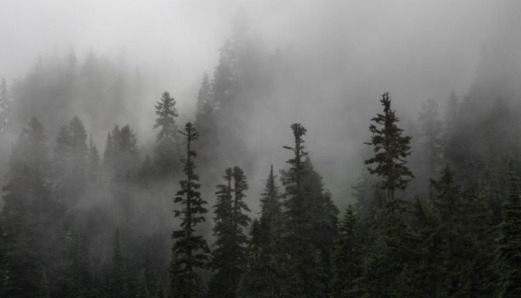 Chilla-i-Kalan Onset: Kashmir Sees Marginal Respite from Subzero Temperatures and Dense Fog