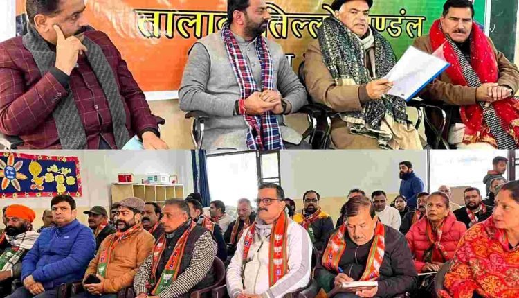 PM Modi transformed political working into 'public welfare mission': Ashok Koul