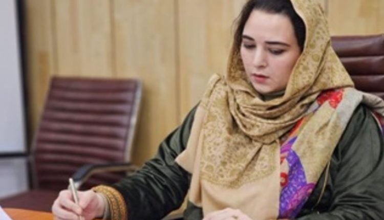 Ensure timely handover of completed sub projects to user Departments: CEO ERA