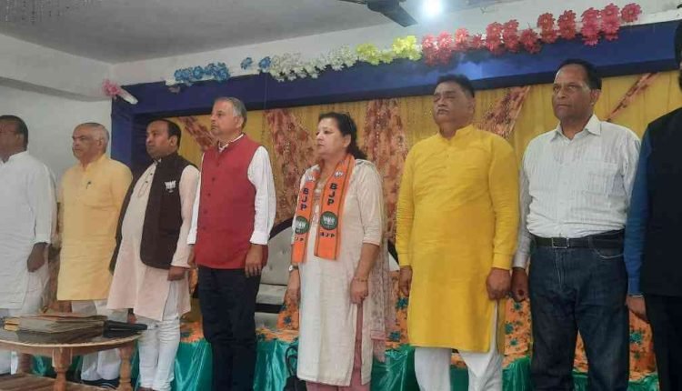 Modi govt in last 10 years, undid past sins by previous govts: Ashok Koul  