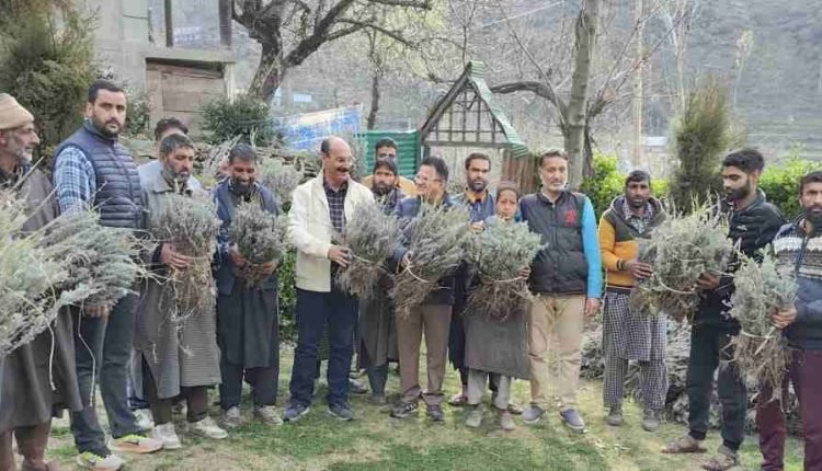 Director Agriculture visits Harwan, Dara, Theed, Faqir Gujri areas of Srinagar