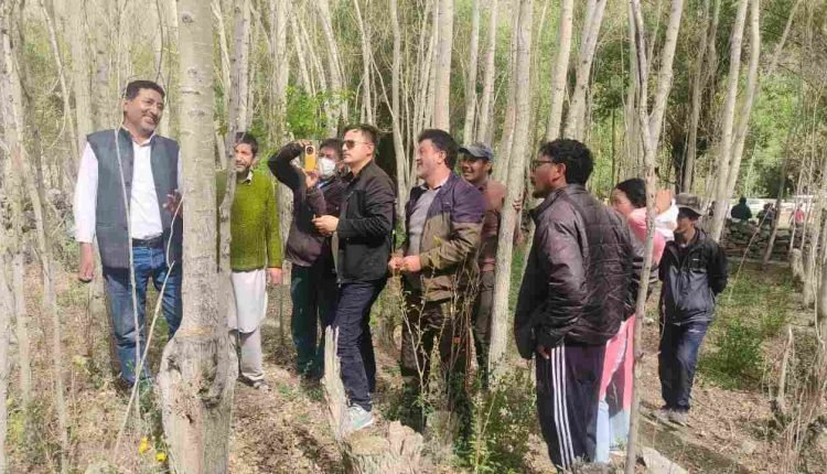 Forest Department Kargil and KVK Kargil hold awareness camp on Pheosia Albivertex management on poplar trees