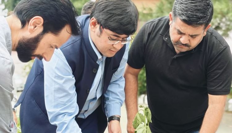 Director Information leads plantation, cleanliness drives