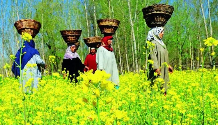 Kisan Khidmat Ghars: Holistic Agriculture Development in J&K
