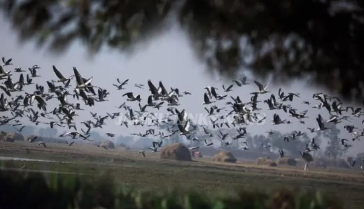 WILDLIFE REVITALIZATION IN JAMMU