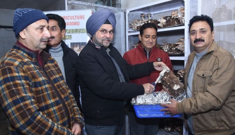Director Agriculture Jammu inaugurates first harvest of Shiitake Mushrooms