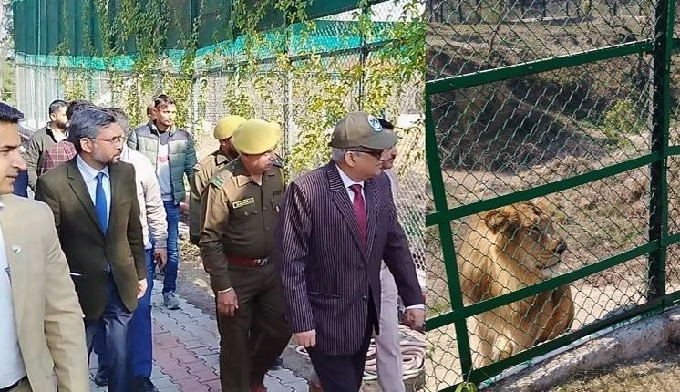 CS for developing Jambu Zoo at par with international standards