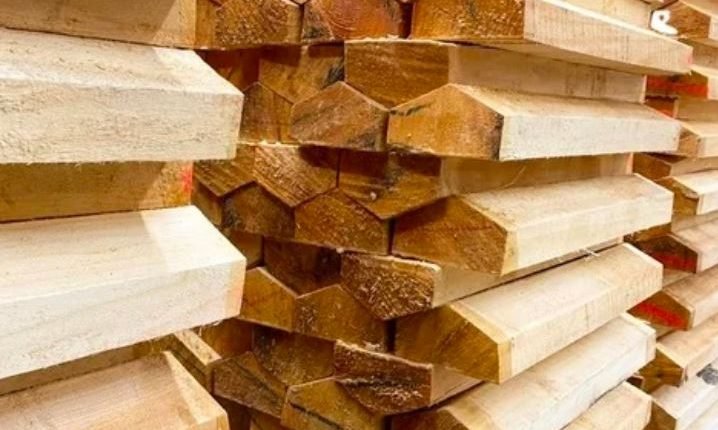 Timber Smuggling Attempt Foiled by J&K FPF, 3000 Willow Clefts Seized in Late-Night Operation