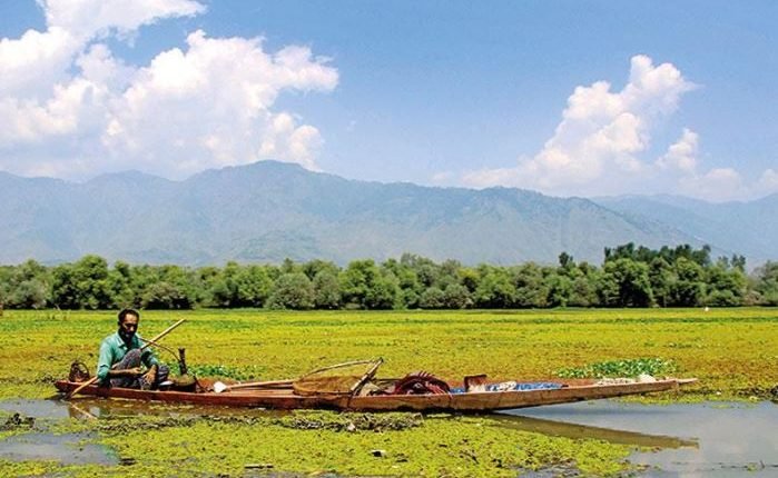 Expert Panels Formed to Drive Urgent Technical and Waste Management Reforms for Wular Lake