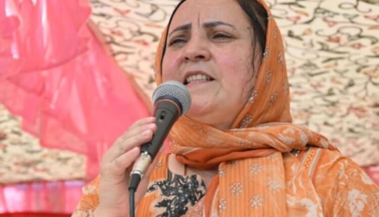 Sakeena Itoo holds Public Grievance Redressal Camp at Binimulla Chandergi area of Kulgam district