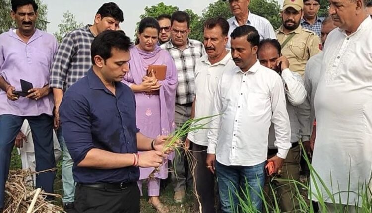 Deputy Commissioner Jammu visits RS Pura to meet farmers, inspect damage to bandh on Tawi